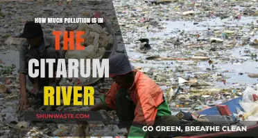 Citarum River: Pollution Crisis and Cleanup Efforts