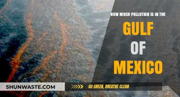 Pollution Crisis in Gulf of Mexico Waters