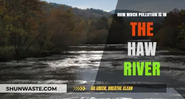 The Haw River's Pollution Problem