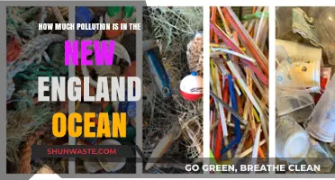 New England Ocean: Pollution Levels Exposed