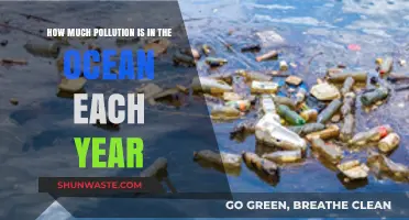 The Ocean's Pollution Crisis: An Annual Tragedy