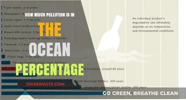 Ocean Pollution: Understanding the Devastating Impact