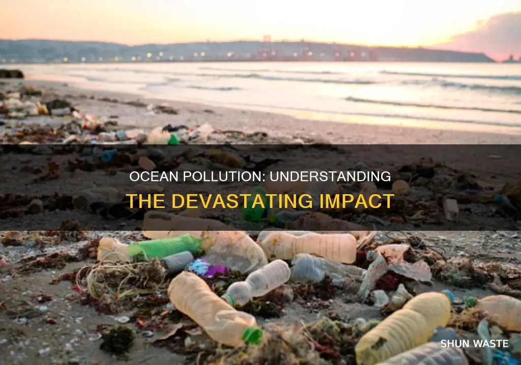 how much pollution is in the ocean percentage