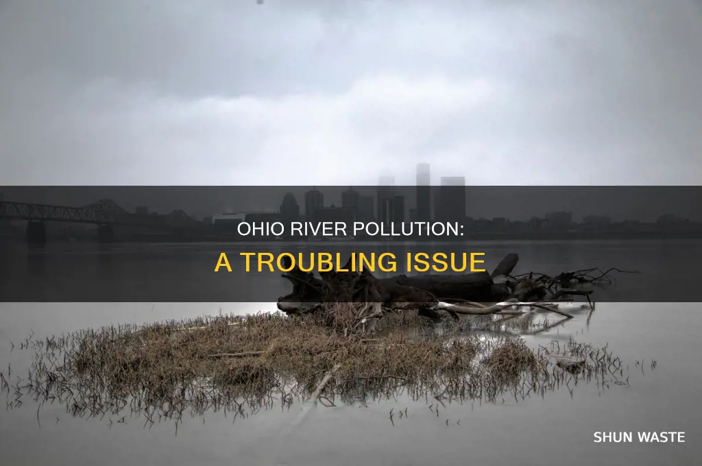 how much pollution is in the ohio river