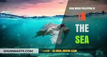 The Ocean's Pollution Crisis: A Deep Dive
