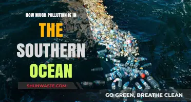 Southern Ocean Pollution: A Deep Dive into the Crisis