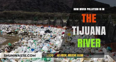 Tijuana River: A Polluted Waterway Crisis