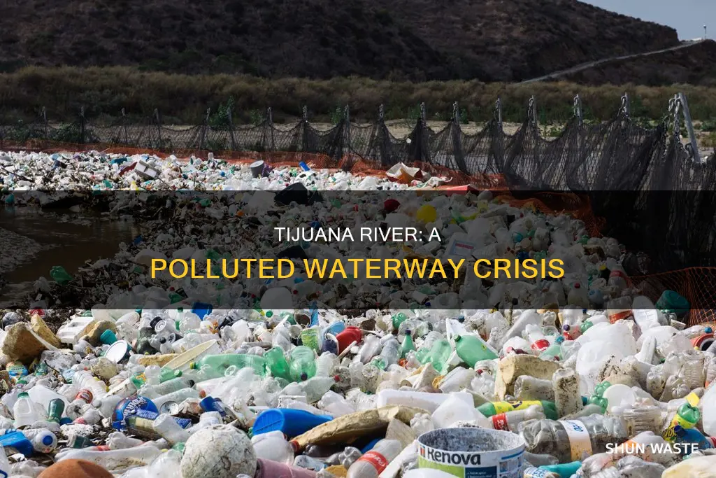 how much pollution is in the tijuana river