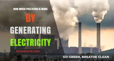 Electricity Generation: What's the Pollution Cost?