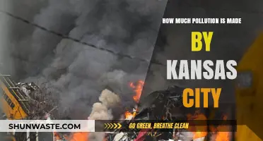 Kansas City's Pollution Problem: A Comprehensive Overview