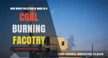 Coal Factories: Understanding Their Pollution Output