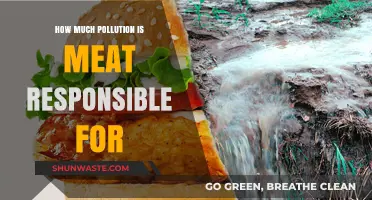 Meat's Pollution Footprint: How Big Is It?