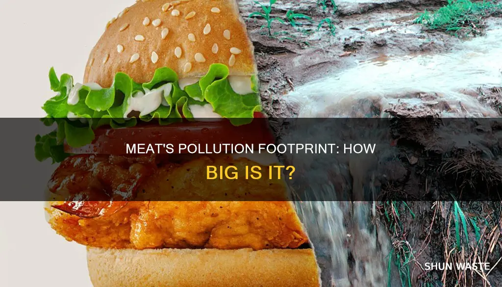 how much pollution is meat responsible for