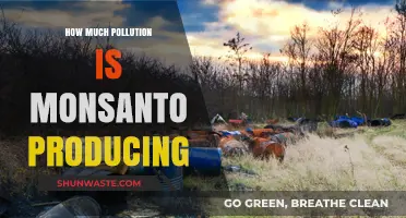 Monsanto's Pollution: How Much Damage is Being Done?