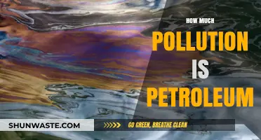 Petroleum Pollution: A Toxic Legacy for Our Planet