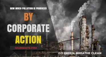 Corporate Action: The Pollution Reality