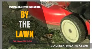 The Dark Side of Greenery: Lawns and Pollution