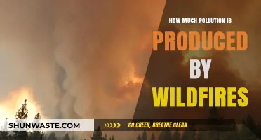 Wildfires: Devastating Impact, Measuring Pollution Levels