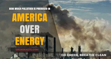 Energy's Pollution Footprint in America