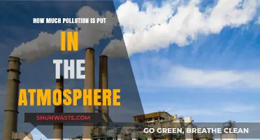 The Atmosphere's Pollution Problem: How Much is Too Much?
