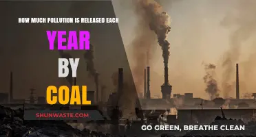 Coal's Annual Pollution Problem