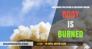 The Environmental Impact of Cremation: Pollution Released from Body Burning