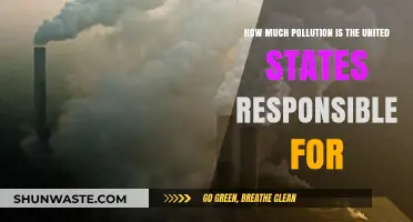 US Pollution: What's the Real Damage?