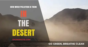 Desert Pollution: A Growing Environmental Concern