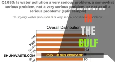 Gulf Pollution: A Comprehensive Overview