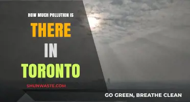 Toronto's Pollution Problem: A Comprehensive Overview