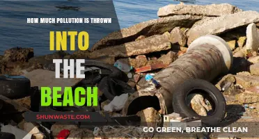 Beach Pollution: The Devastating Impact of Human Activity