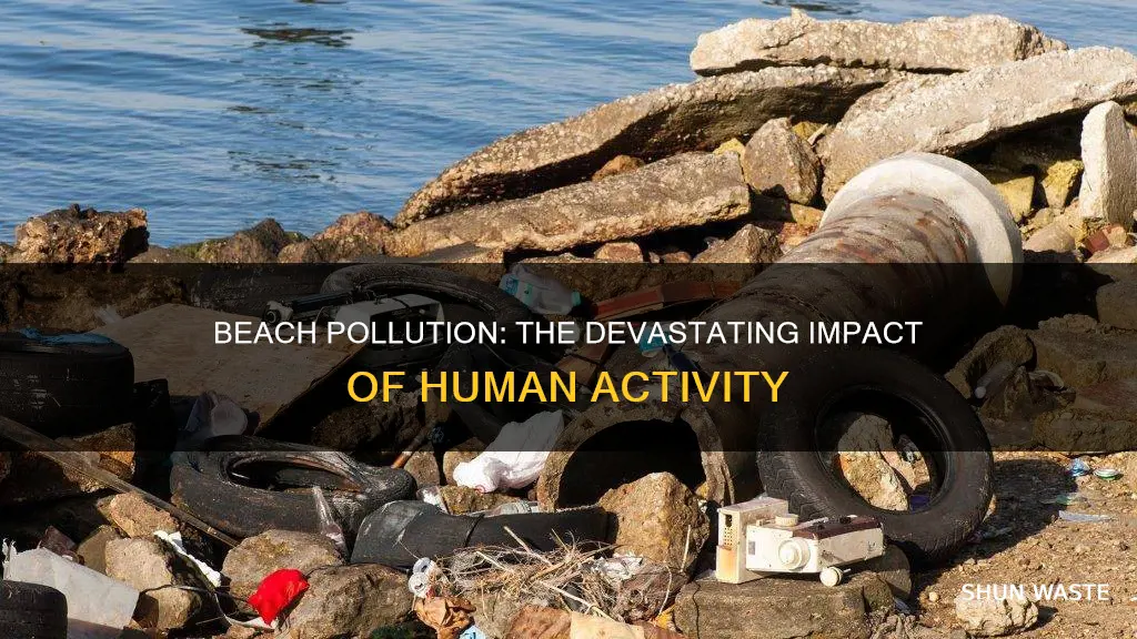 how much pollution is thrown into the beach