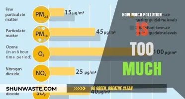 Air Pollution: When Does It Become Unhealthy?