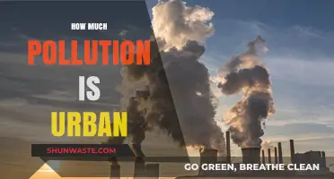 Urban Pollution: A Growing Concern for Cities