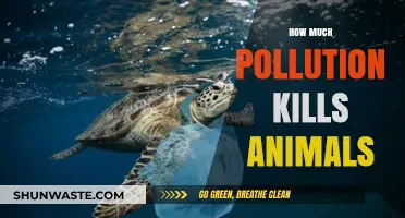 Pollution's Deadly Impact on Wildlife