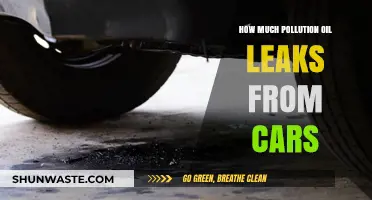 Oil Leaks: Car Pollution's Hidden Impact