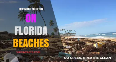 Florida's Beach Pollution: A Growing Concern?
