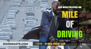Driving Pollution: The Mile's Impact on Environment
