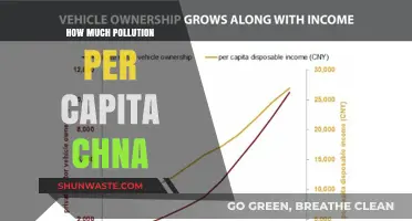 China's Pollution Problem: Emissions Per Capita Examined