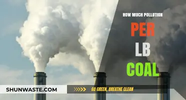 Burning Coal: The Pollution Cost