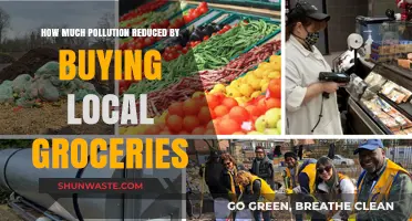 Local Groceries: Reducing Pollution, One Shop at a Time