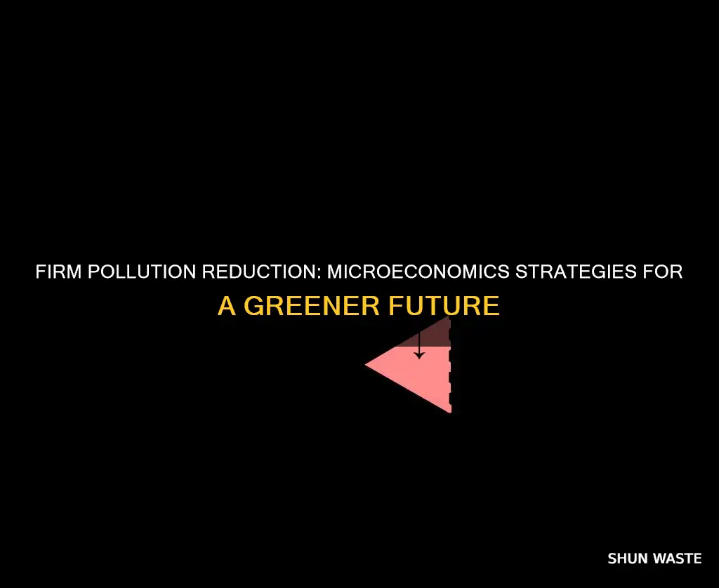 how much pollution should each firm reduce microeconomics