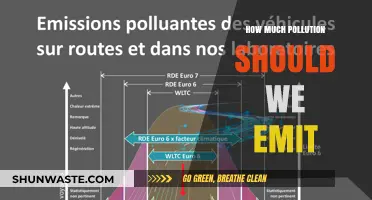 Pollution Emission Limits: How Much is Too Much?