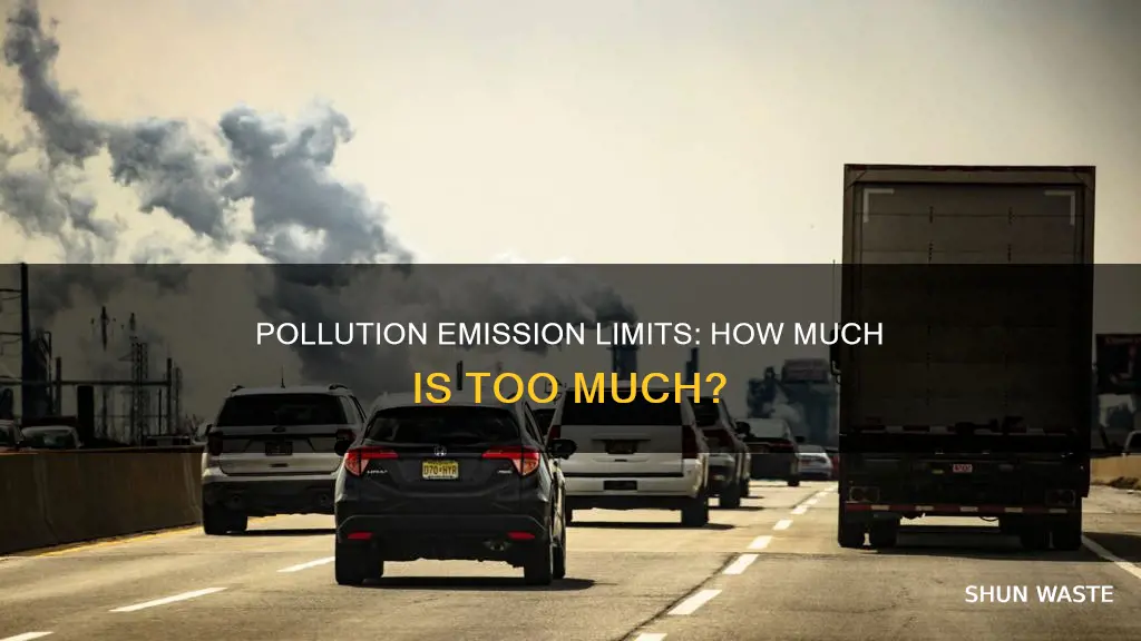 how much pollution should we emit