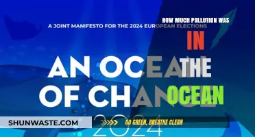 Ocean Pollution: A Historical Perspective