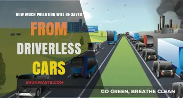 Driverless Cars: Pollution Savings and the Future