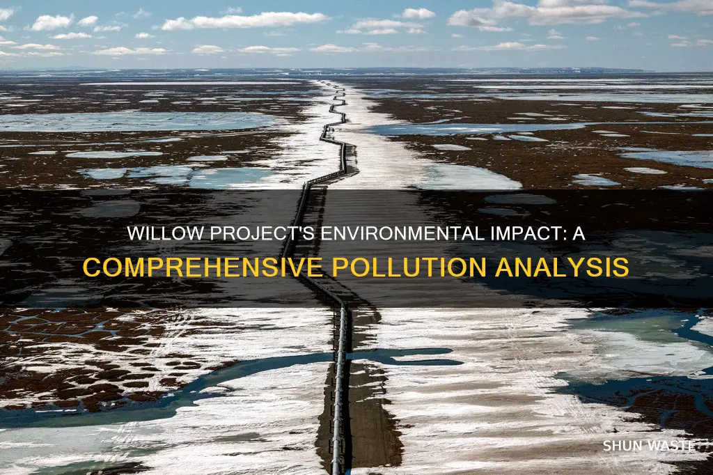 how much pollution will the willow project cause