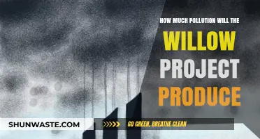 Willow Project: What's the Pollution Outlook?