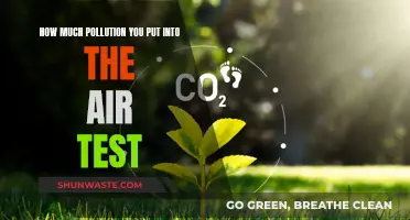 Air Pollution Test: Your Impact, Revealed