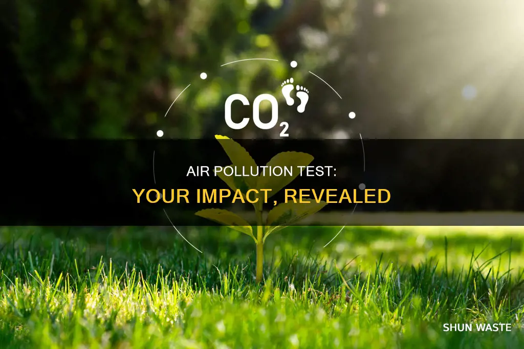 how much pollution you put into the air test